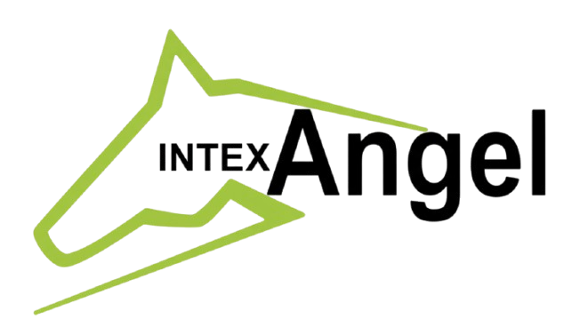 IntexAngel Logo